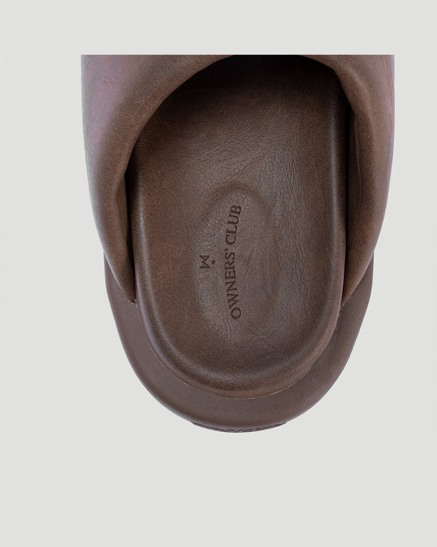 Mocha Brown