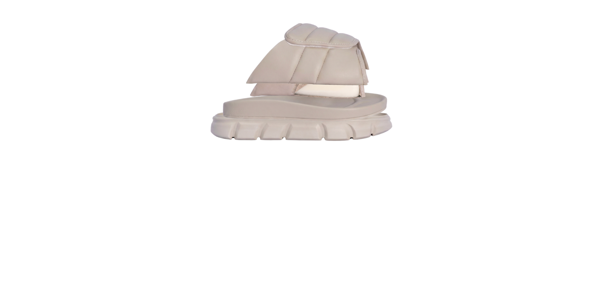 sau-2